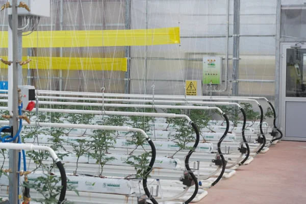 İMT Sera Otomasyon Sistemleri