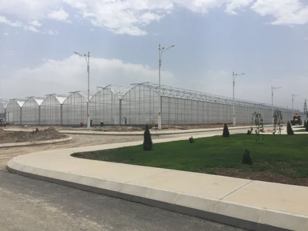 İMT Sera Otomasyon Sistemleri