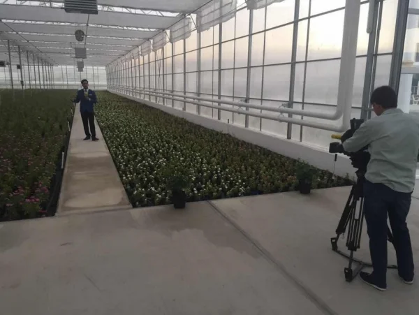 İMT Sera Otomasyon Sistemleri