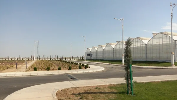 İMT Sera Otomasyon Sistemleri