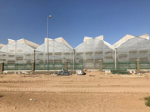 İMT Sera Otomasyon Sistemleri