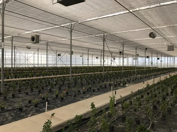 İMT Sera Otomasyon Sistemleri