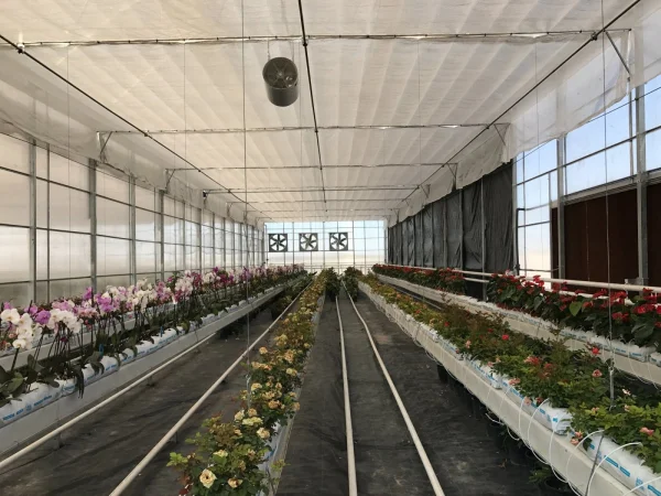 İMT Sera Otomasyon Sistemleri