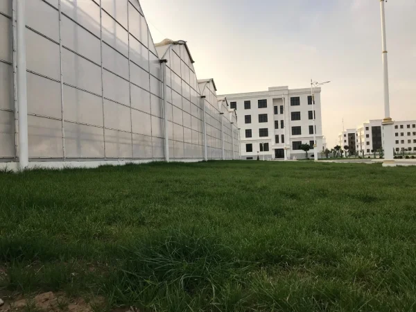 İMT Sera Otomasyon Sistemleri