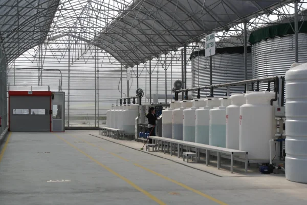 İMT Sera Otomasyon Sistemleri