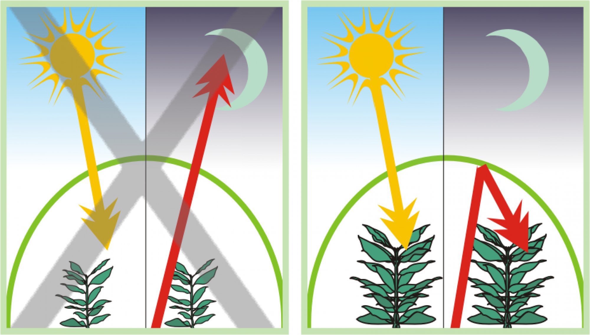 Plastic Greenhouse Cover