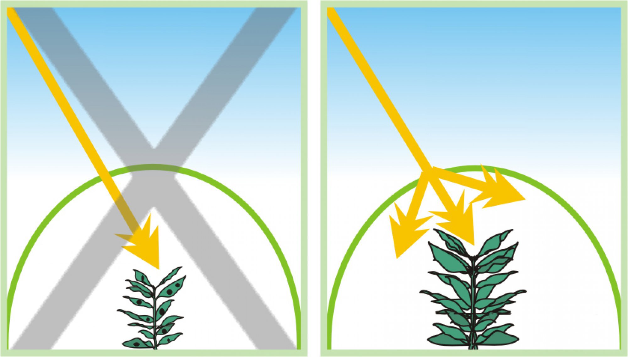 Plastic Greenhouse Cover