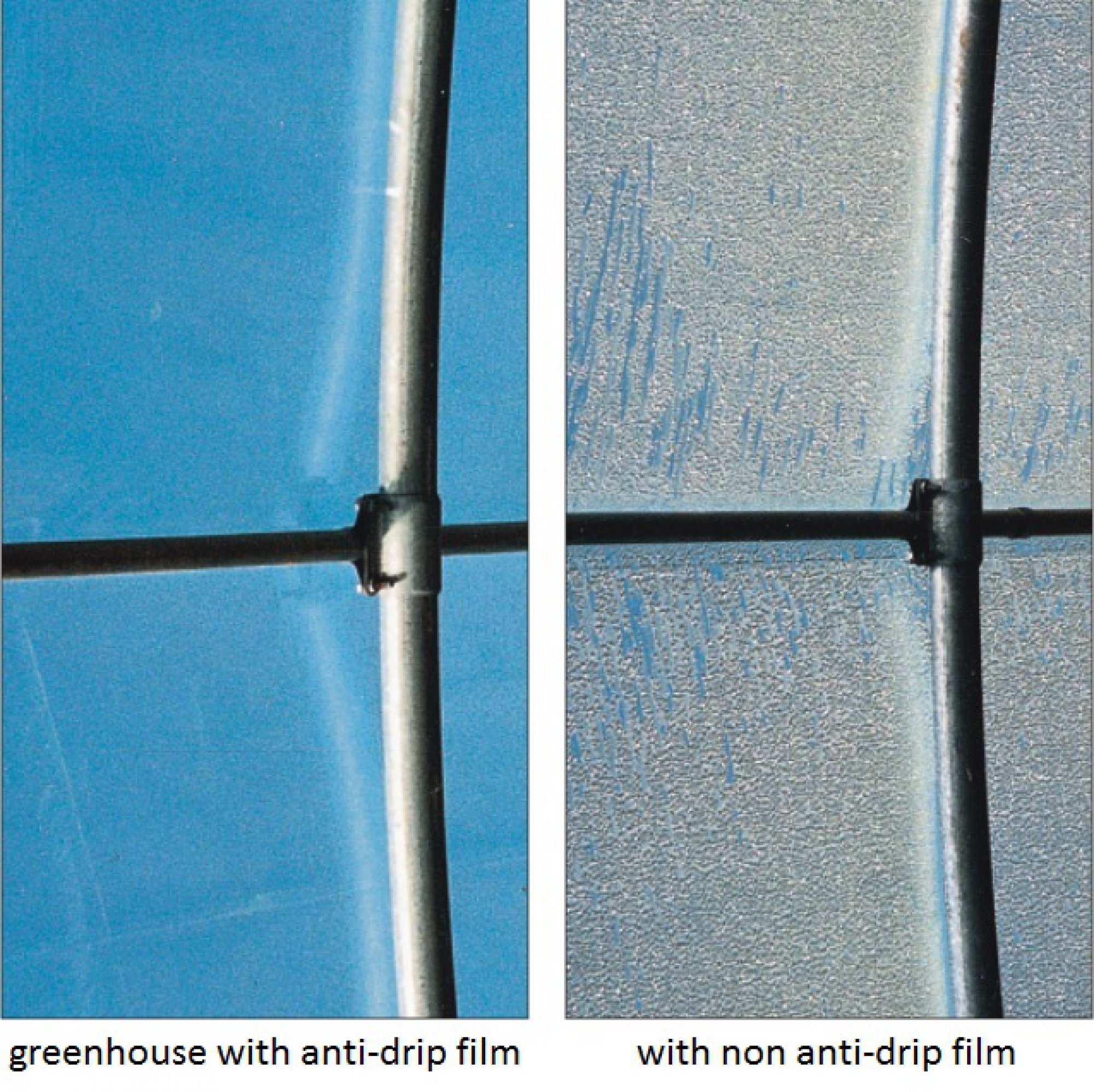 Plastic Greenhouse Cover