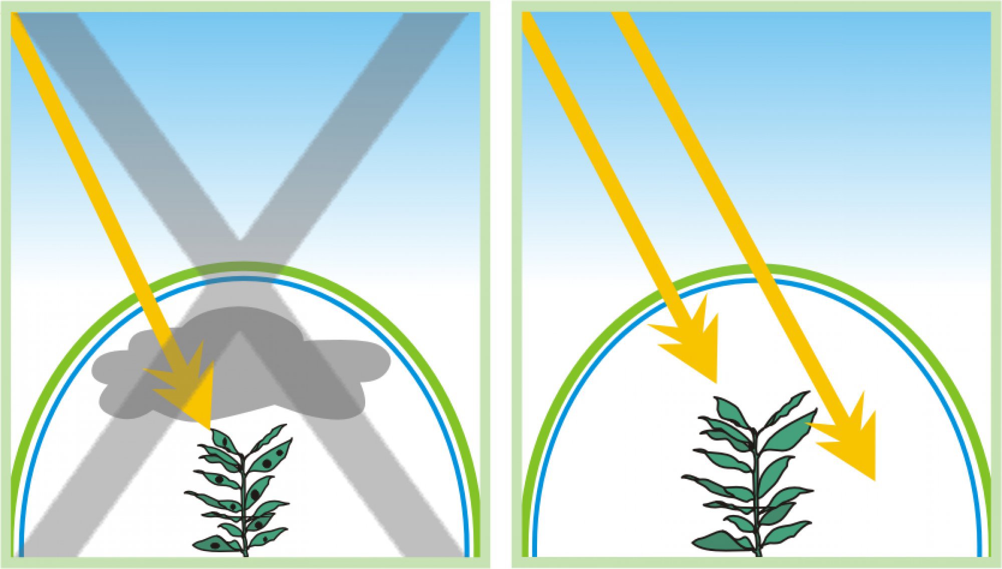 Plastic Greenhouse Cover
