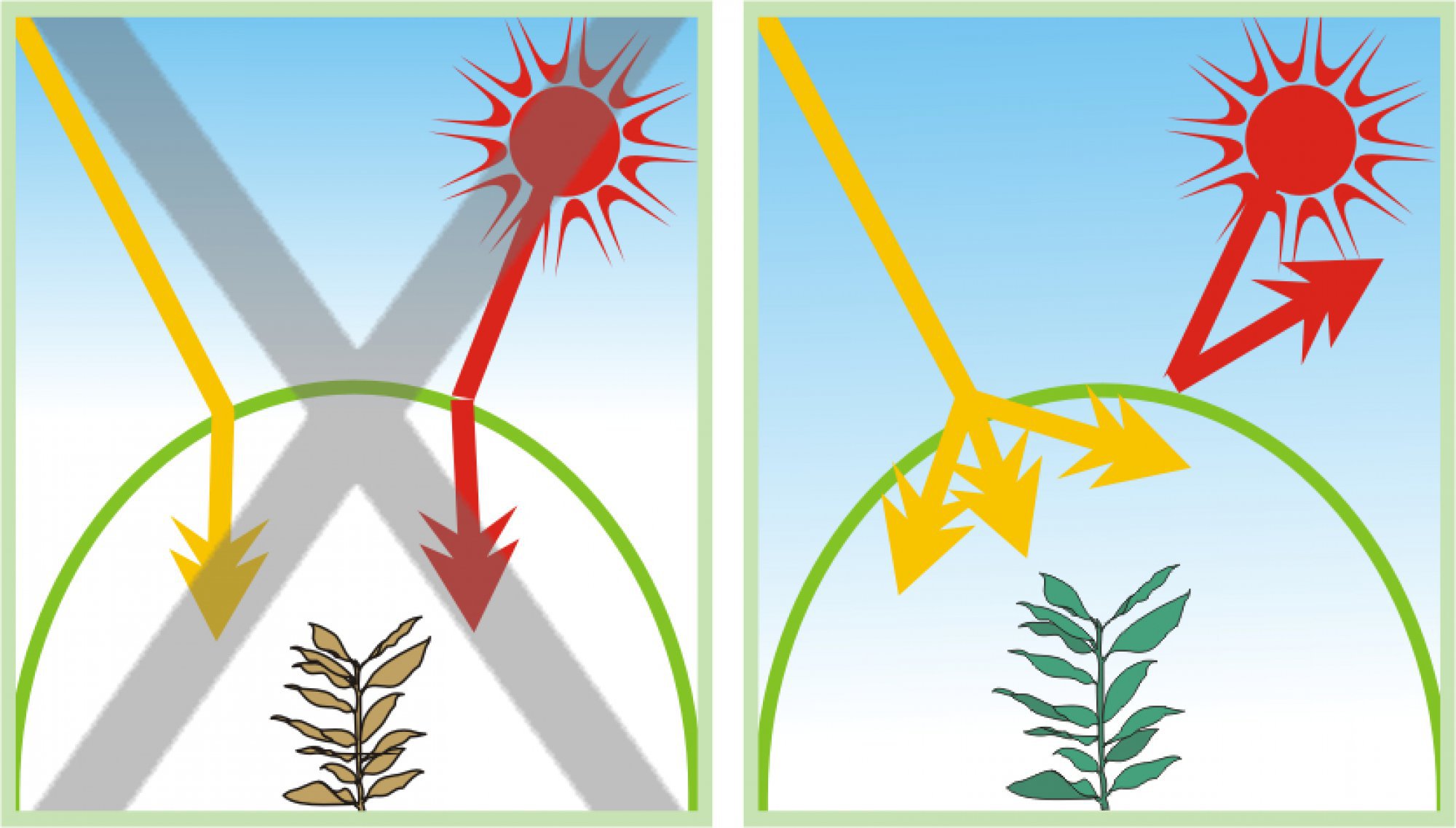 Plastic Greenhouse Cover