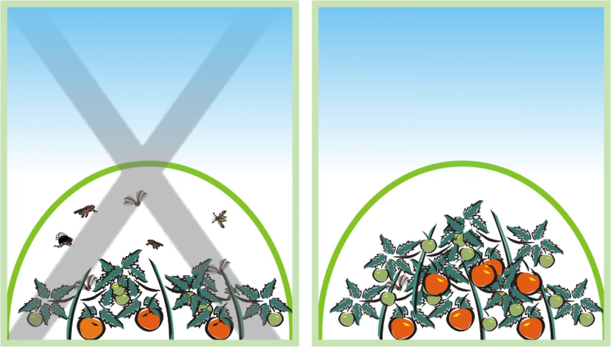 Plastic Greenhouse Cover