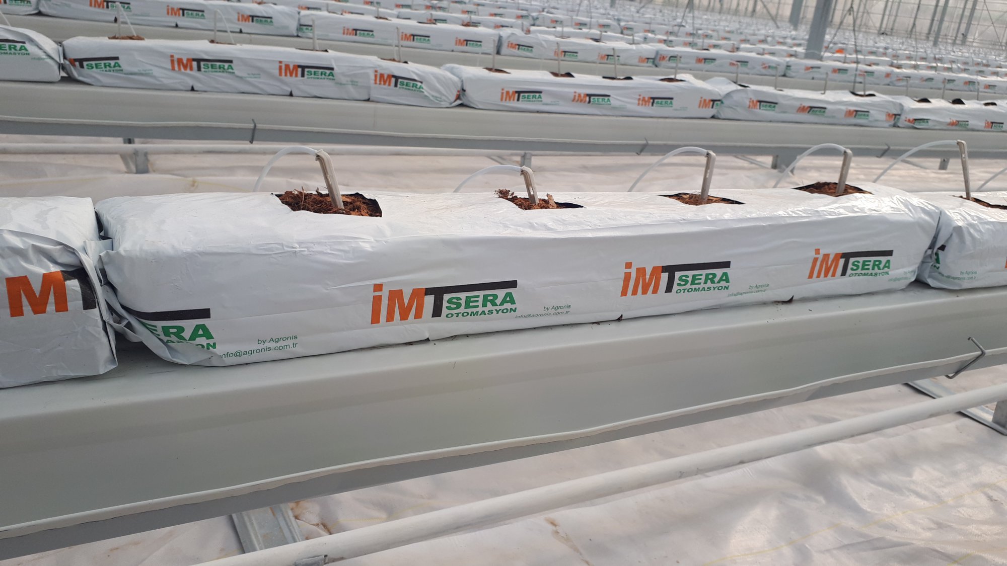 Plant Growing Environment (Cocopeat) 