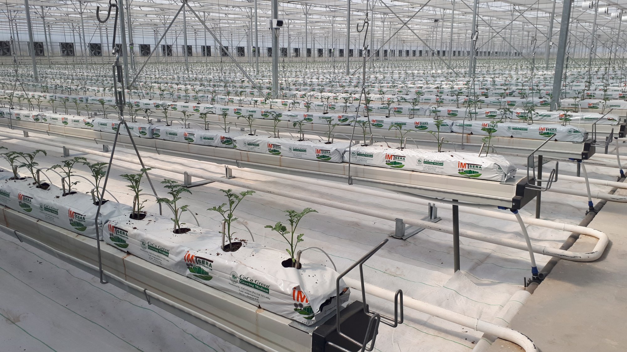 Plant Growing Beds: Gutter 