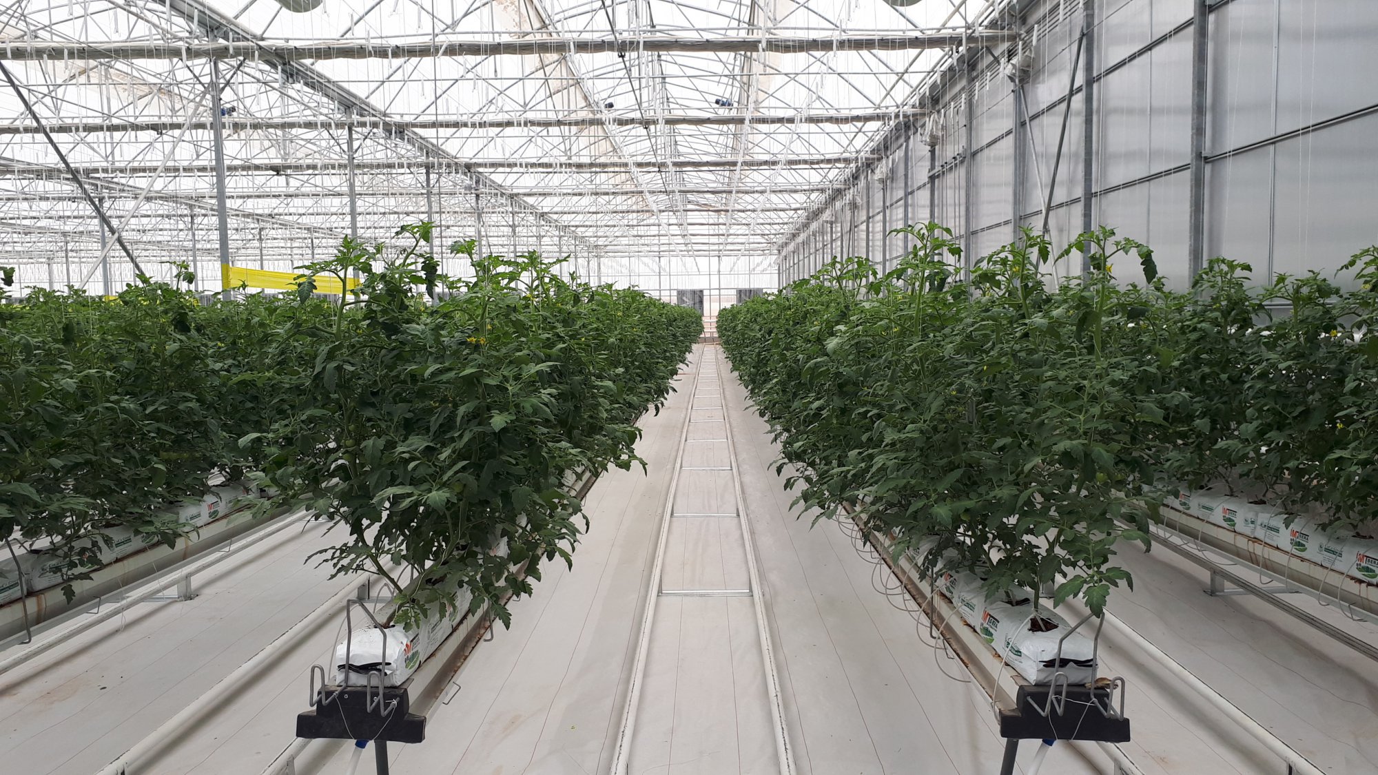 Plant Growing Beds: Gutter 