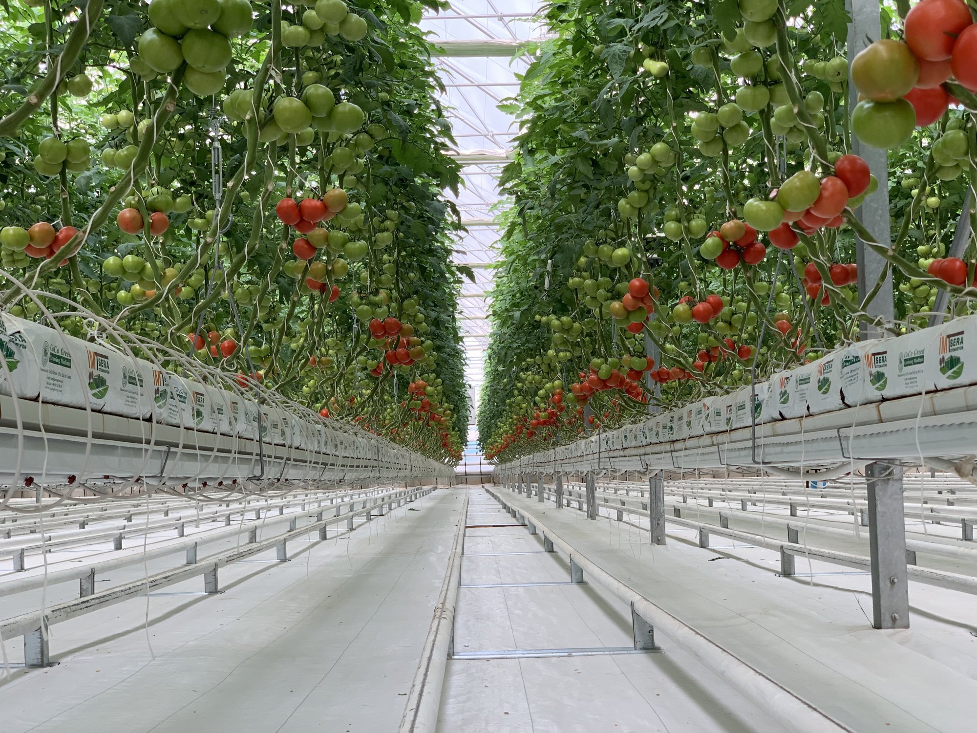 Irrigation and Drainage System