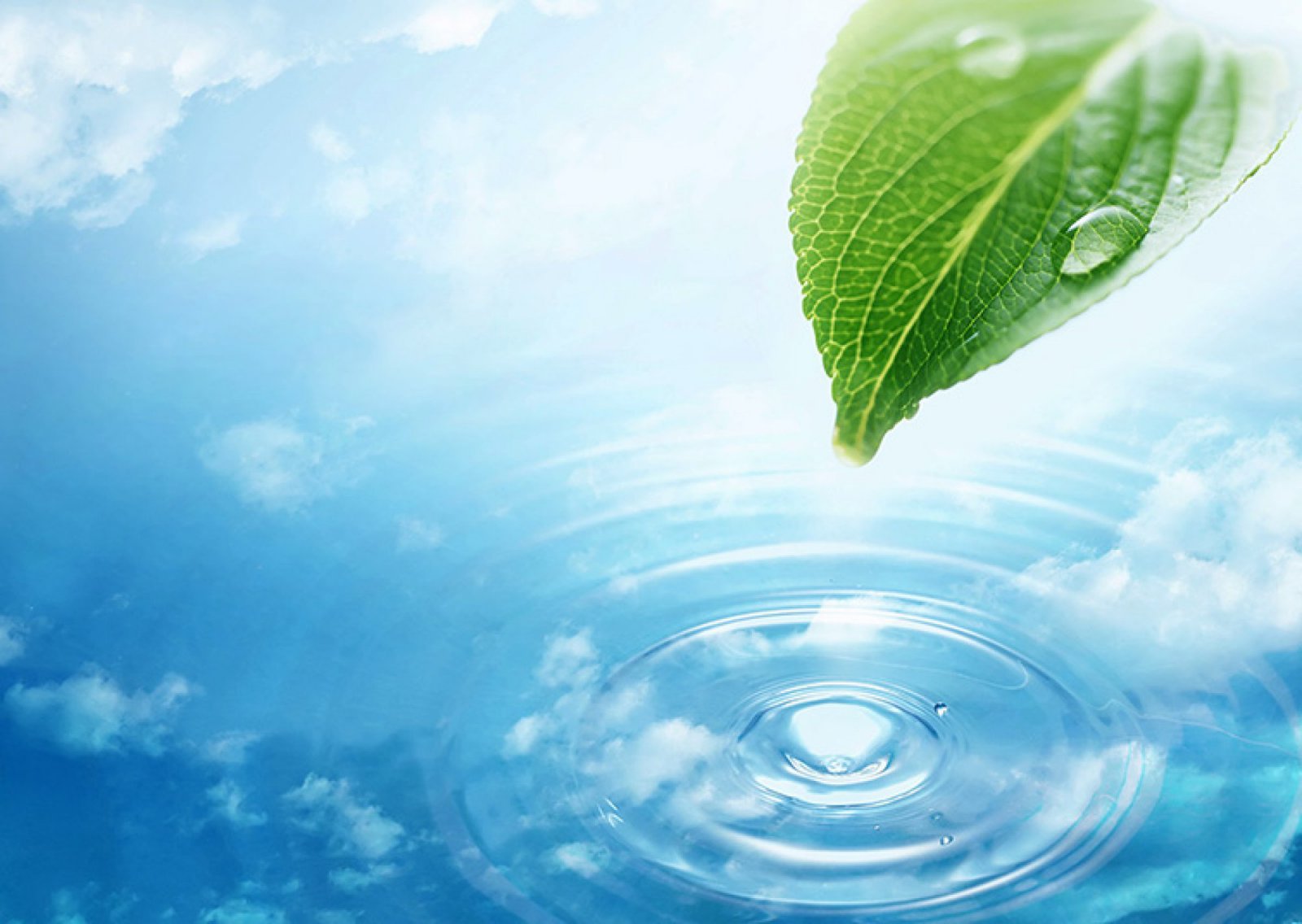 Reverse Osmoz Sistemi