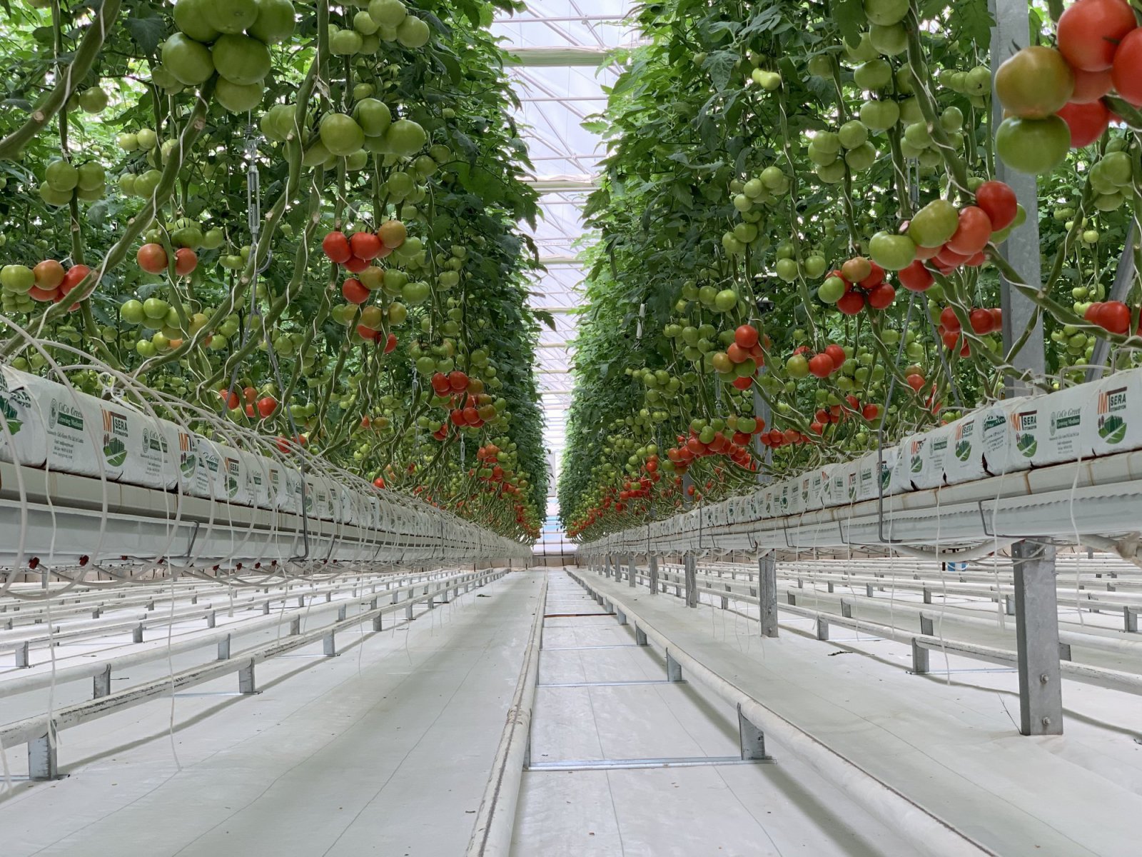 Sulama ve Drenaj Sistemi